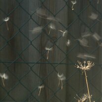 DSC00390